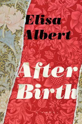 cover image for After Birth