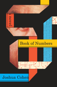 cover image for Book of Numbers