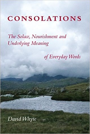 cover image for Consolations: The Solace, Nourishment and Underlying Meaning of Everyday Words