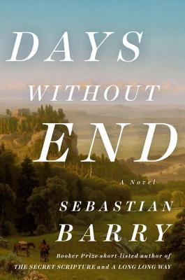 cover image for Days Without End