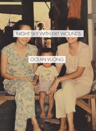 cover image for Night Sky with Exit Wounds