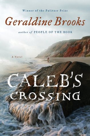 cover image for The Crossing
