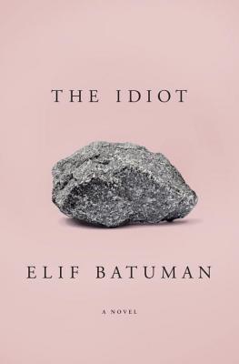 cover image for The Idiot