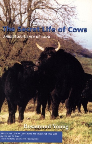 cover image for The Secret Life of Cows