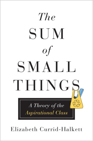 cover image for The Sum of Small Things: A Theory of the Aspirational Class
