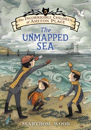 cover image for The Unmapped Sea