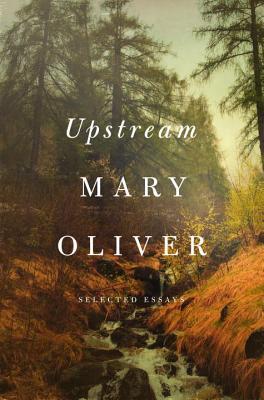 cover image for Upstream