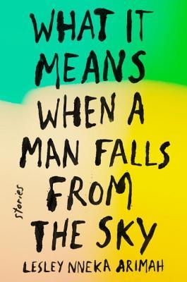 cover image for What It Means When a Man Falls from the Sky